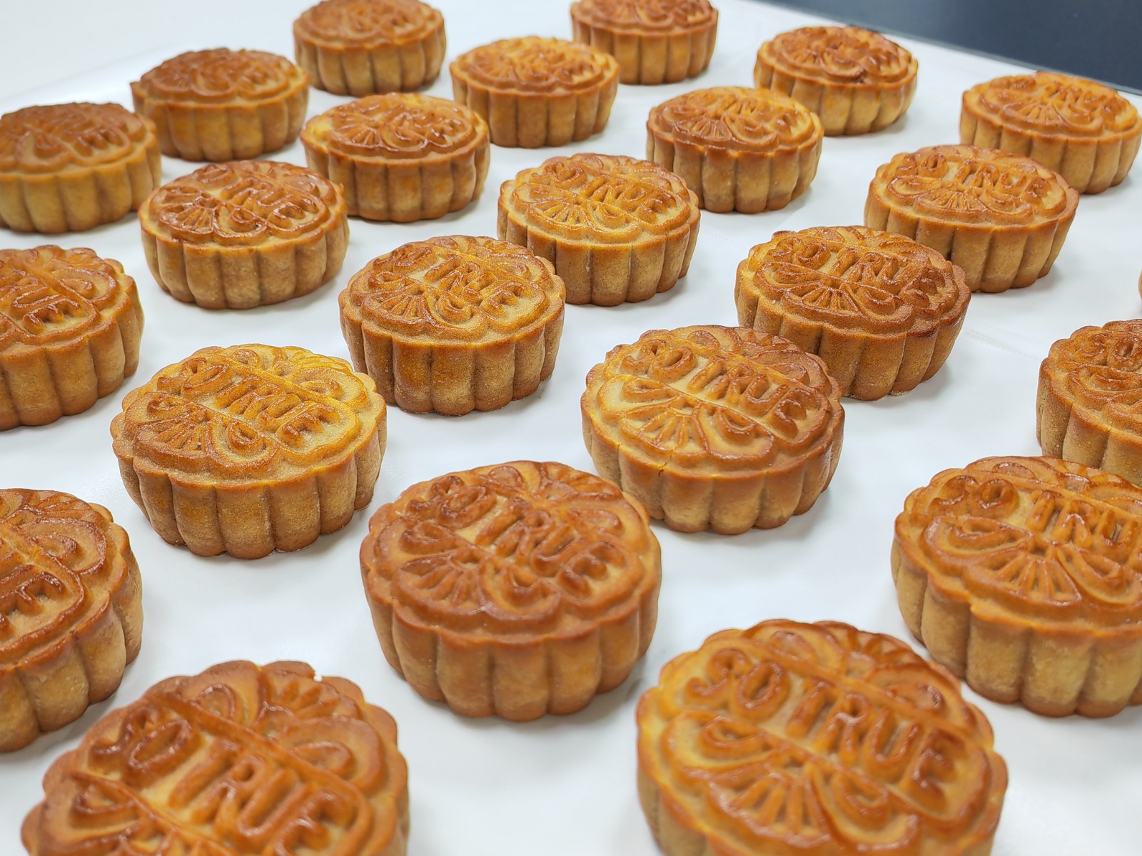 1695866891426343.jpg 1695866891426343.jpg