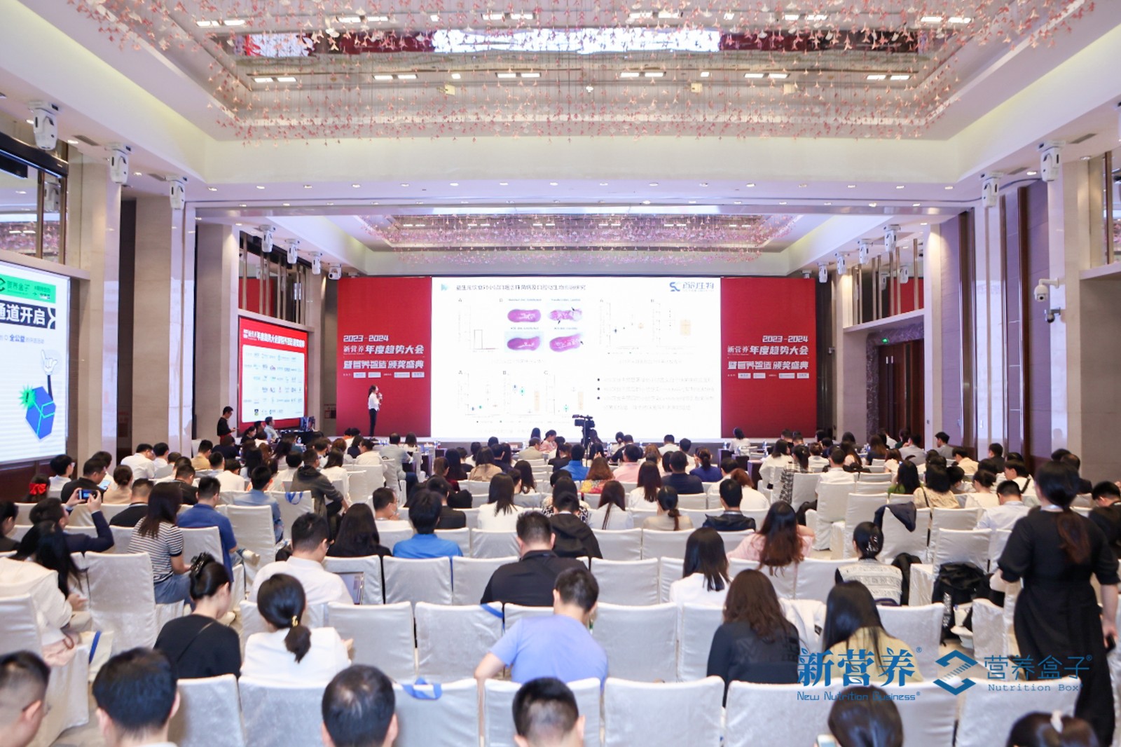 1698030303248209.jpeg 1698030303248209.jpeg