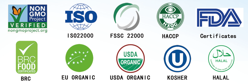 1757294199556922.png 1757294199556922.png